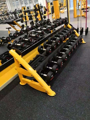Exercise Muscle Gym Club Fitness Dumbbell 2 Tier Dumbbell Rack 80kg