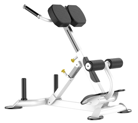 Rohs Roman Chair Back Extension Exercise Machine for Gym
