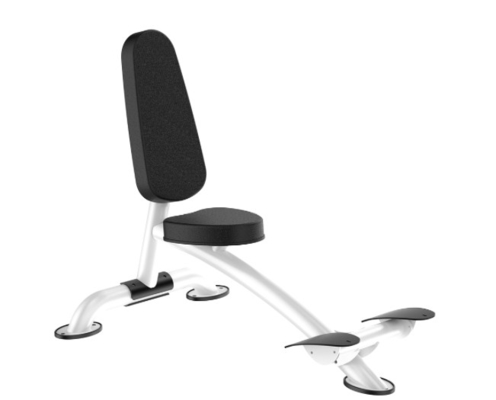 Rohs Roman Chair Back Extension Exercise Machine for Gym