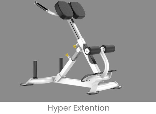 Rohs Roman Chair Back Extension Exercise Machine for Gym