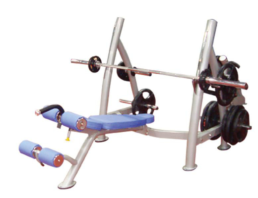 Custom Logo Exercise Muscle Metal Decline Gym Weight Bench