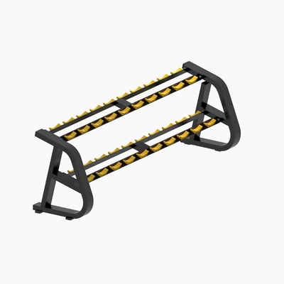 Custom Logo Powder Coating Dumbbell Safety Rack 2 Tier