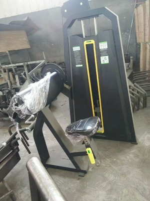 OEM Body Building Gym Exercise Triceps Curl Machine Powder Coating