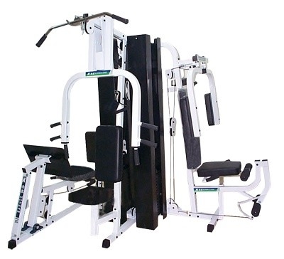 Burgundy Commercial Multifunctional Gym Equipment 50kgs/2 Group