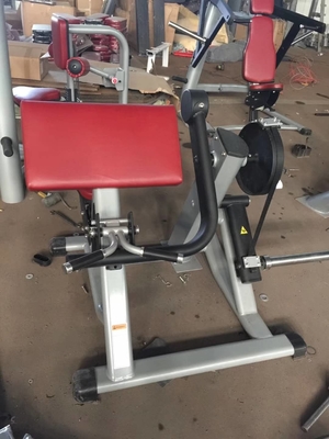 140*90*3mm Tube Free Weight Gym Equipment Biceps Training Board Priest Bench