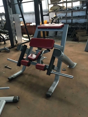 ISO9001 CE Free Weight Gym Equipment Kneeling Leg Curl Machine