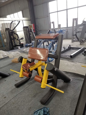 ISO9001 CE Free Weight Gym Equipment Kneeling Leg Curl Machine