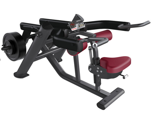 2 In 1 Free Weight Gym Equipment Synthesis Seated Dip Machine