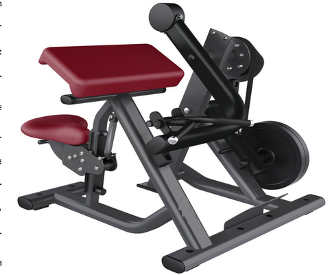2 In 1 Free Weight Gym Equipment Synthesis Seated Dip Machine
