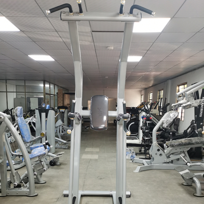 Bodybuilding Fitness Chin Up Bar Body Fit Machine OEM ODM