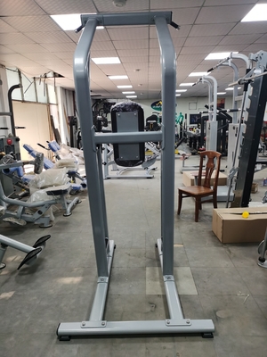 Bodybuilding Fitness Chin Up Bar Body Fit Machine OEM ODM