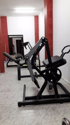 Steel Tube Free Weight Gym Equipment Rear Kickback Machine 125kg