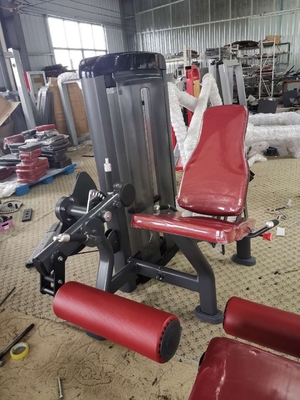 Powder Coating Iron PU Leather Gym Leg Extension Machine