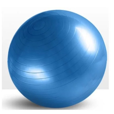 Stability Training Fitness Exercise Balance Gym Yoga Ball Pilates Equipment